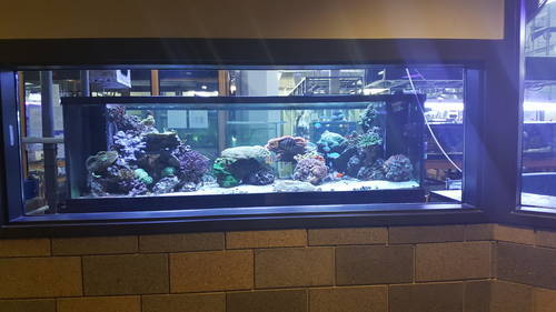 <p>The school has many different programs to give students hands-on experience, the Iowa Energy & Sustainability Academy is just one. They also have culinary, automotive, printing, fashion, and marine programs, just to name a few.</p>