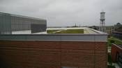View Image 'The buildings include green roofs...'